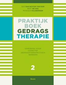 Omslag Praktijkboek gedragstherapie 2 Boom